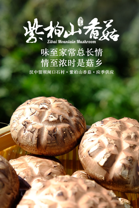 1583912991346800.png 33.png