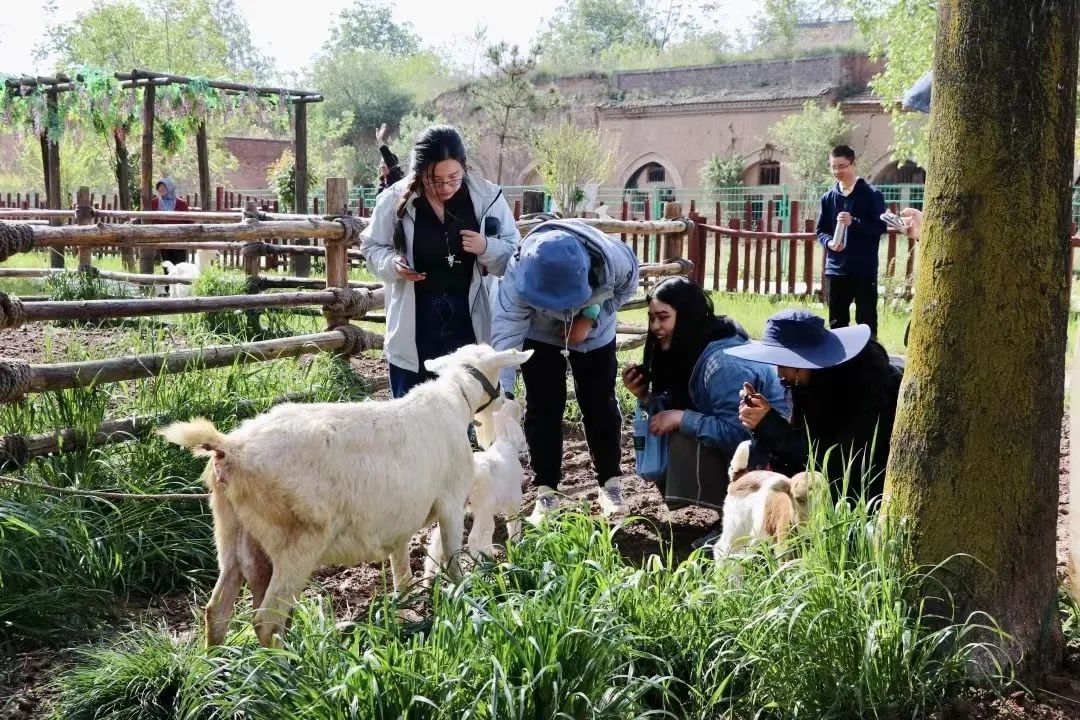 433401f8919db43e6cc0da9875a1b8e4.jpg 微信圖片_20221031103942.jpg