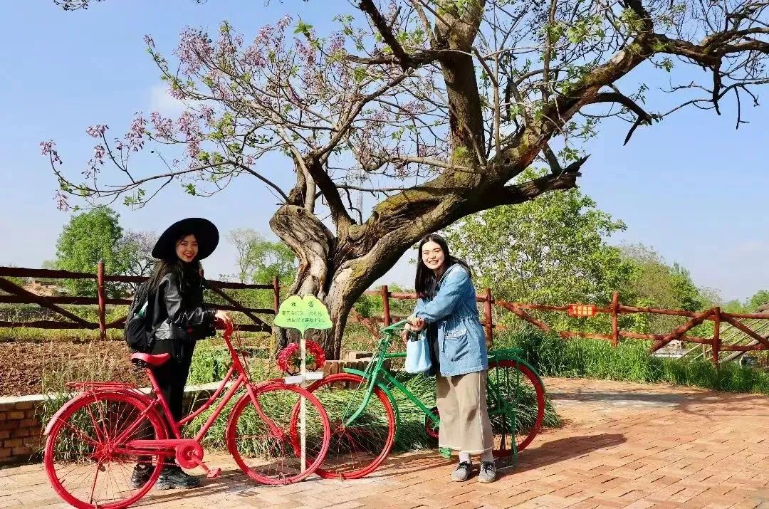 faad5316a65a854f8c93af0123455e01.jpg 微信圖片_20221031103947.jpg